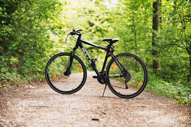 Crni bicikl u šumi