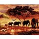 Gaira Slikanje po brojevima Stado slonova