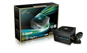 FSP Hydro GSM Lite Pro 650W