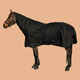 Pokrivač za vrat konja Allweather 200 vodootporni crni