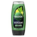 Radox Refreshment Menthol And Citrus 3-in-1 Shower Gel osvježavajući gel za tuširanje 225 ml za muškarce