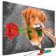 Slika za samostalno slikanje - Dog With Rose 60x40