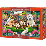 Kućni ljubimci u parku puzzle 1000kom - Castorland