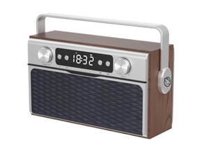Manta prijenosni radio Ibiza RDI917PRO