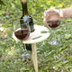 Sklopivi i prijenosni vanjski vinski stol Winnek InnovaGoods , 365 g