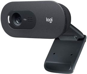 Logitech C505e web kamera