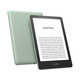 Kindle Paperwhite 5 32 GB green (without ads)