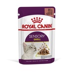 Royal Canin Sensory Smell - mokra hrana s umakom za odrasle mačke 12 x 85 g