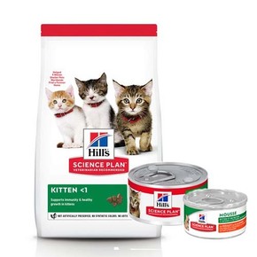 Hill's Kitten - Piletina - 3 kg