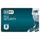 ESET File Security for Microsoft Windows Server - subscription license (2 years) - 1 user