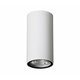 NOVA LUCE 9220022 | Ceci Nova Luce stropne svjetiljke svjetiljka cilindar 1x LED 230lm 3000K IP65 crno mat
