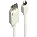 LINDY priključni kabel Mini DisplayPort utikač, DisplayPort utikač 1 m bijela 41056 DisplayPort kabel