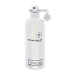 Montale Paris Chypré - Fruité parfemska voda 100 ml unisex
