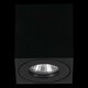 EGLO 901029 | Torrecola Eglo stropne svjetiljke svjetiljka 1x GU10 IP44 crno, prozirno