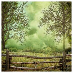 Click Props Background Vinyl with Print Forest Fence 1