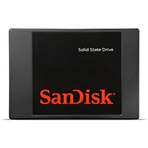 SanDisk SDSSDP-256G-G25 SSD 256GB