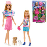 Barbie: Stacie u spašavanju - Barbie i Stacie set s malim psom i dodacima - Mattel