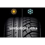 Michelin zimska guma 295/35R20 Pilot Alpin 105W