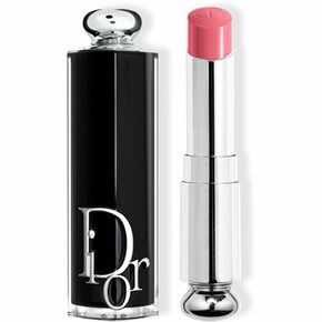 DIOR Dior Addict sjajilo za usne punjiva nijansa 373 Rose Celestial 3