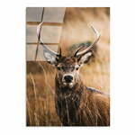 Staklena slika 70x100 cm Deer - Wallity