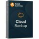 Elektronička licenca AVAST Business Cloud Backup, godišnja pretplata CBW.0.12M