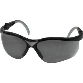 L+D Profi-X IONIC 26661SB zaštitne radne naočale crna