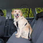 Trixie oprsnica za psa za auto M 50-70 cm