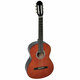 Gewa gitara VGS PS510.150