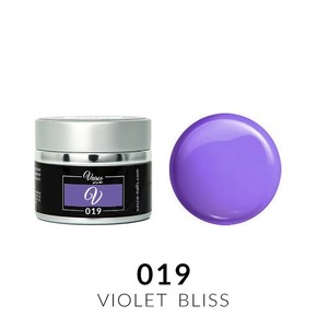 Vasco Paint Gel 019 Violet Bliss 5g