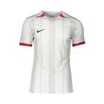 NIKE Dres svijetlosiva / bijela 28116824