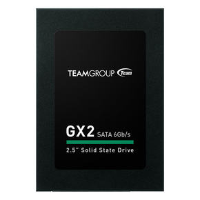 TeamGroup GX2 T253X2256G0C101 SSD 256GB