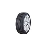 Hifly zimska guma 205/50R17 Win-Turi 212, XL 93H