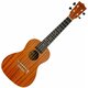 Pasadena SU024B Koncertni ukulele Natural