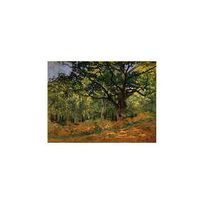 Reprodukcija slike Claude Monet - The Bodmer Oak
