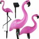 3 djelomični solarni set LED ukrasnog vrta Flamingos