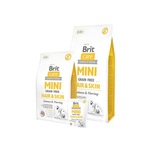 Brit Care Mini Grain Free Hair &amp; Skin 400 g