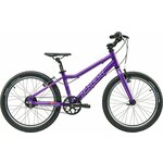 Academy Grade 4 Belt Purple 20" Dječji bicikl