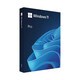 Microsoft Windows 11 Pro, HAV-00163