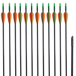 vidaXL Standardne savijene strijele za luk, 30-inčne, 0,6 cm, 12 komada