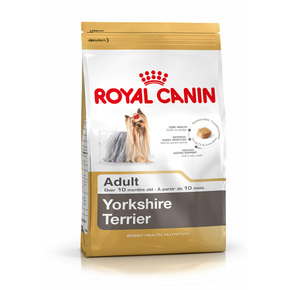 ROYAL CANIN Yorkshire Terrier 1