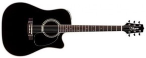 Takamine EF341SC elektro akustična gitara