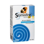 Stomodine L.P. gel 20 ml