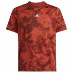 Majica za dječake Adidas Roland Garros T-Shirt - preloved red
