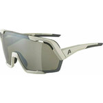 Alpina Rocket Bold Q-Lite Cool/Grey Matt/Silver Biciklističke naočale