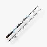 Štap za morski ribolov Seacoast 500 2,90 m 80-150 g