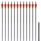 vidaXL Standardne savijene strijele za luk, 30'', ugljične, 12 komada