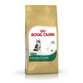 ROYAL CANIN Kitten Maine Coon 36 0