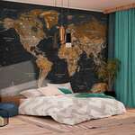 Samoljepljiva foto tapeta - World: Stylish Map 147x105