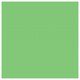 Linkstar papirnata kartonska pozadina 1,35x11m 73 Summer Green zelena Background Roll Paper studijska foto pozadina u roli 1.35x11m