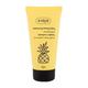 Ziaja Pineapple Caffeine šampon za sve tipove kose 160 ml za žene